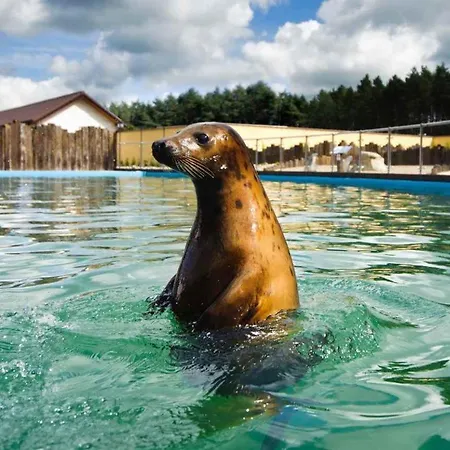 Bursztynowe Wczasy Sasino