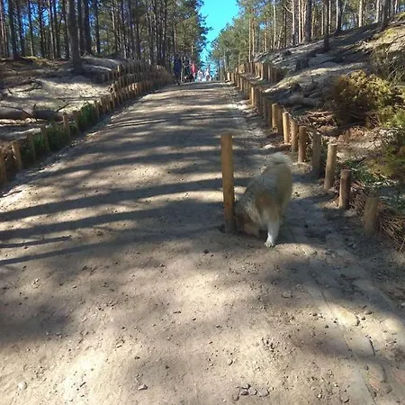 Lejlighed Bursztynowe Wczasy Sasino