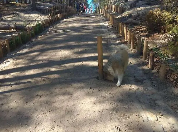 Apartament Bursztynowe Wczasy Sasino